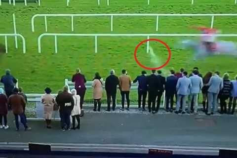 ‘Disgraceful’ moment idiot racegoer launches pint at Grand National-winning jockey and horse..