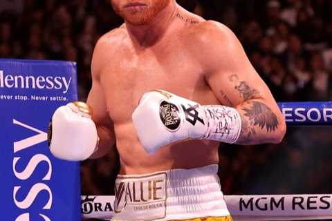 Canelo Alvarez next opponent ‘not one for boxing purists’ in coming months as talks over Jake Paul..