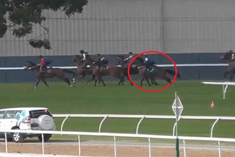 ‘I’ve never seen that in 40 years’ – Trainer embarrassed after horse jumps out with ‘fifth leg’