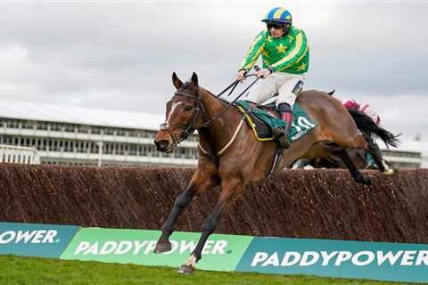 Cheltenham Festival ante post tip: Templegate reveals 66-1 Gold Cup pick