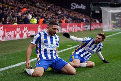 Watford 0 Brighton 2: Roy Hodgson slumps to defeat in home debut as Hornets take another step..