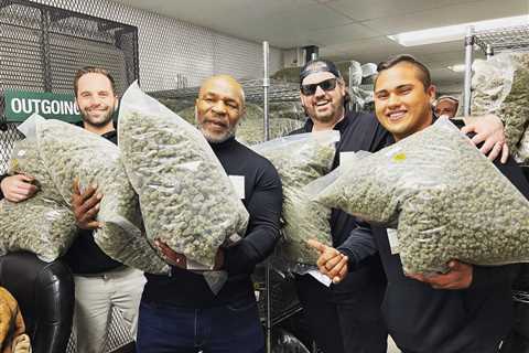 Mike Tyson struggles with industrial-sized bags of weed as boxing legend visits new partners in..