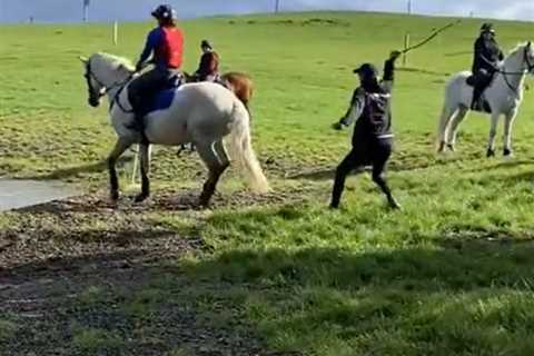 Sir Mark Todd banned from racing after horrific video of him hitting a horse with a branch