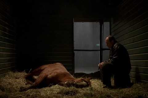 The Sopranos star dies aged 23: Tony’s beloved racehorse Pie-O-My loses long battle with illness