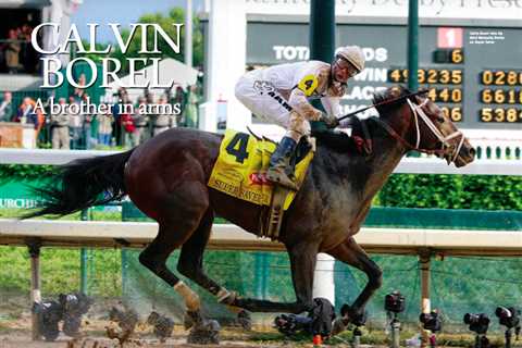 Orb Horse - The 2013 Kentucky Derby Winner