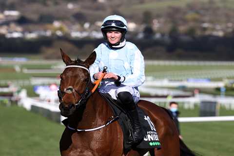 Matt Chapman reveals Cheltenham Festival banker and says it’s time Honeysuckle lost weight..