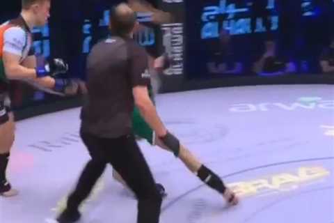 Watch astonishing moment referee is KOd during MMA fight after being kicked in head… before he gets ..