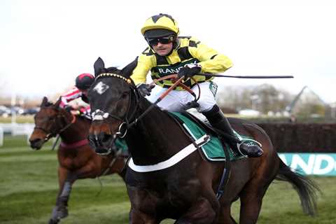 Cheltenham Festival – Queen Mother Champion Chase: Get Shishkin at 20/1 to finish in the top three..