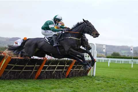 How to watch 4.50 Mares’ Novice Hurdle at Cheltenham Festival on TV and live stream