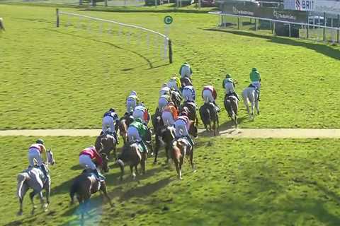 Bizarre moment jockey Hugh Nugent gets thrown off horse Achille in Midlands Grand National in rare..