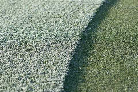 Why exactly do we have frost delays? And how much damage does it cause?