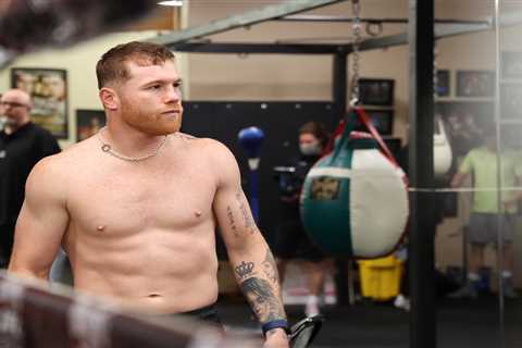 Canelo Alvarez shows off insane body transformation as he piles on muscle for light-heavyweight..