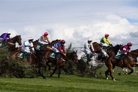 Who won Grand National 2022? Fallers and finishers, FULL results for 5.15 Aintree showpiece race