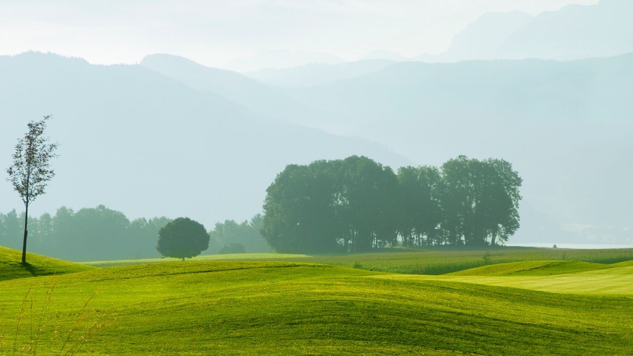 True Golf Stories by Don Wade
