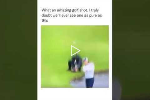 What an amazing golf shot meme