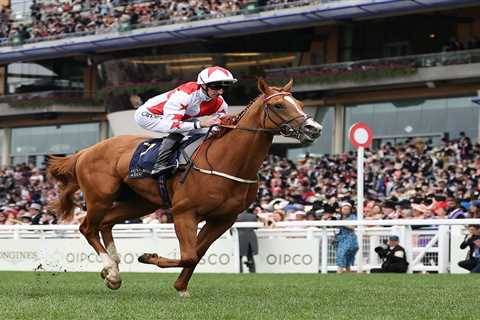 Arsenal fan sitting on £1million fortune thanks to Royal Ascot wonderhorse he bought ‘for fun’