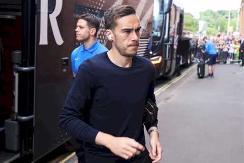 ‘Scapegoat’ Harry Winks backed for England recall if Everton land Tottenham midfielder amid..