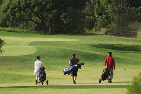 Since J.T. Poston won John Deere Classic, caddie Aaron Flener says there's now time to 'wash our..