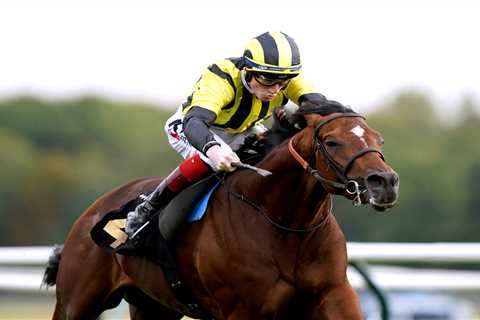 Royal Ascot winner named after MMA brute can land this midweek Group 1 at Longchamp