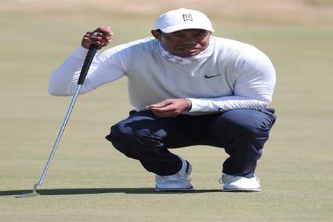 Tiger Woods rejected $800m offer to join Saudi-backed LIV Golf after CEO Greg Norman reveals..