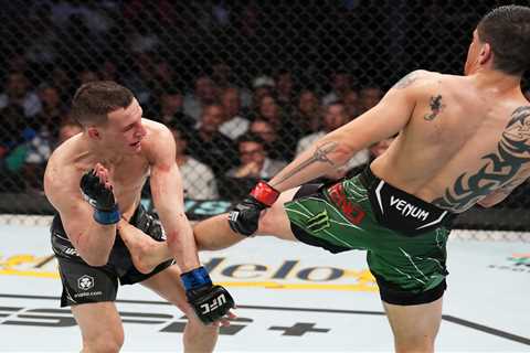 Watch UFC star Brandon Moreno deliver brutal liver kick to KO opponent that leaves Conor McGregor..