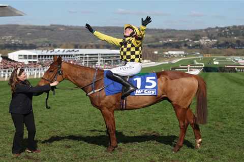 Punters blast new Cheltenham Festival rule brought in after Willie Mullins winner as BHA say it..