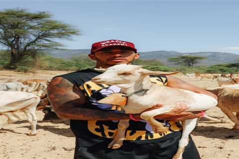 Fans all saying the same thing as F1 legend Lewis Hamilton shares picture with a goat and calls it..