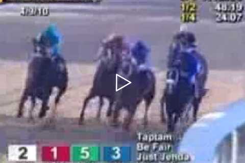 Zenyatta Greatest Race Horse Of All Time! Montage - All 19 Wins