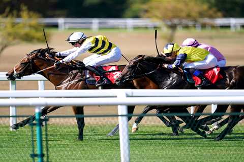 Matt Chapman: Latest whip ban is “embarrassing” but British racing has led the way into this “utter ..