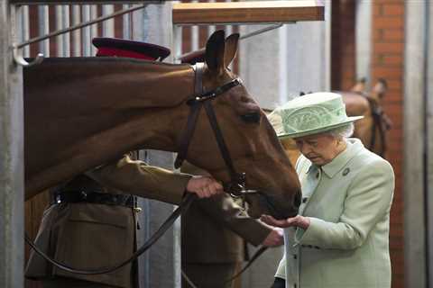 How many racehorses are owned by the Queen?