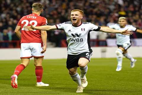 Forest 2 Fulham 3: Reed hits the winner as Cottagers come from behind in five-goal thriller to go..