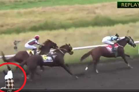 ‘The worst thing I’ve ever seen’ – Jockey banned for LIFE after pushing rival off horse named..