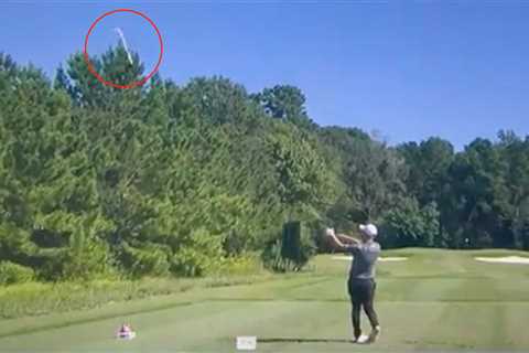 Pro overhead-tosses club into the woods. Then it got a little awkward