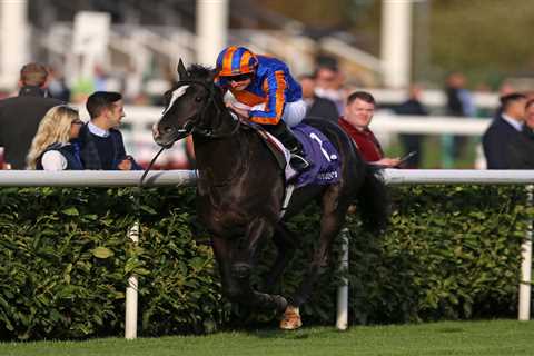 ‘He looks a monster’ – bookies slash odds on Auguste Rodin for next year’s Epsom Derby after..