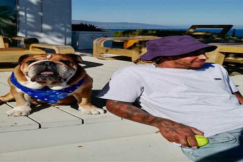 Inside Lewis Hamilton’s birthday celebrations for beloved dog Roscoe with special cake and chilling ..