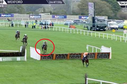 Punters lose £14,000 in absolute horror show after backing horse they all thought couldn’t possibly ..