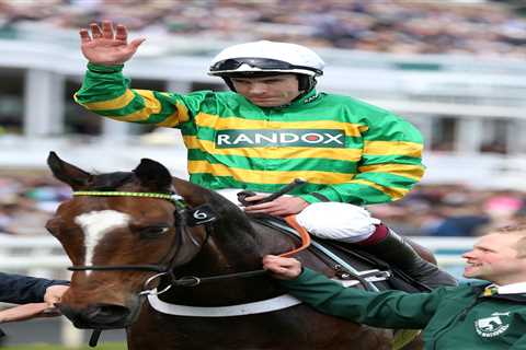 Punters win big as Paddy Power pay out five MONTHS early on Cheltenham Festival bet