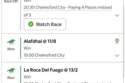 Punter reckons he’s won ‘bet of the year’ just in time for Christmas after ridiculous 634-1..