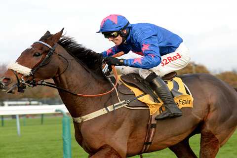 ‘He was a legend of a horse’ – fan favourite and King George hero Cue Card dies aged 16