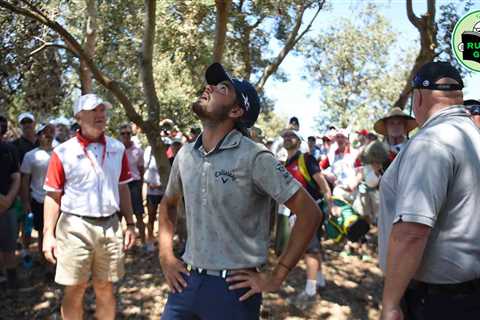 Rules Guy: If a ball gets stuck in a tree, is it considered lost or unplayable?