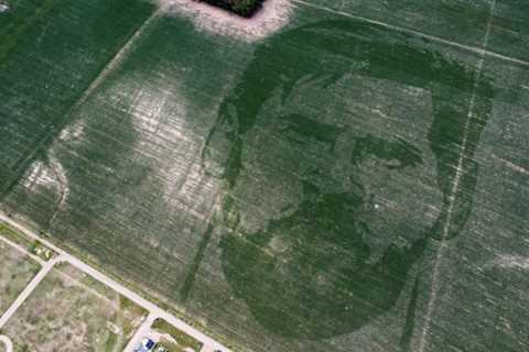 Lionel Messi: Argentine corn field planted with face of World Cup winner