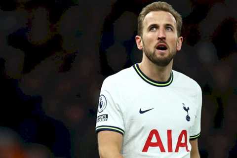 Tottenham ‘decide on selling Harry Kane to Man Utd’ as Dimitar Berbatov issue lingers