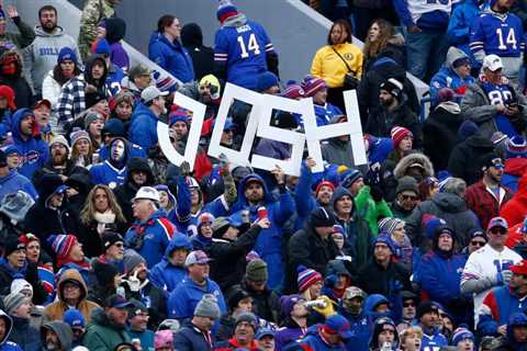 Bills Show Off A Preview Of Their Next Stadium