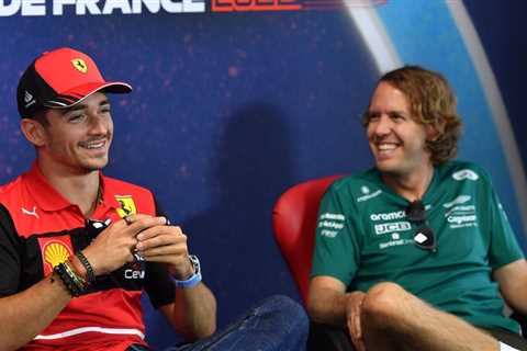 Former Ferrari driver Sebastian Vettel feels motorsport needs to become more sustainable to survive