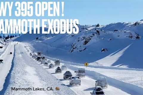 The great EXODUS out of Mammoth Lakes