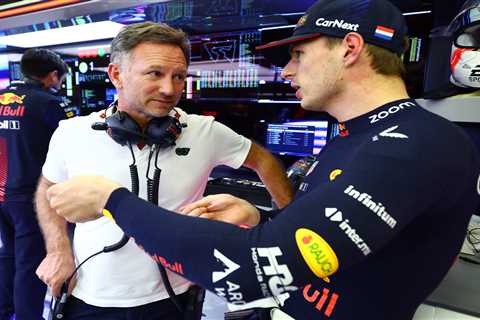 Max Verstappen is a better driver than Lewis Hamilton, who would struggle in Dutchman’s car, says..