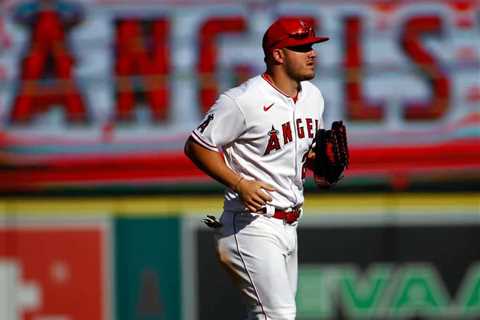 Mike Trout Made Sure To Check On A Fan