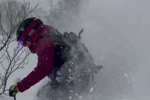 SKIING NISEKO 2023 AMAZING POWDER DAYS