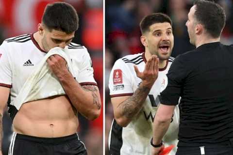 Fulham star Aleksandar Mitrovic could face lengthy ban after inexcusable Man Utd meltdown