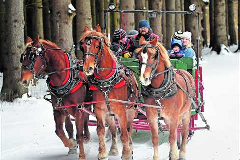 Winter Wonderlands With Sleigh Rides